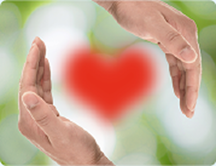 手厚いサポートサービス