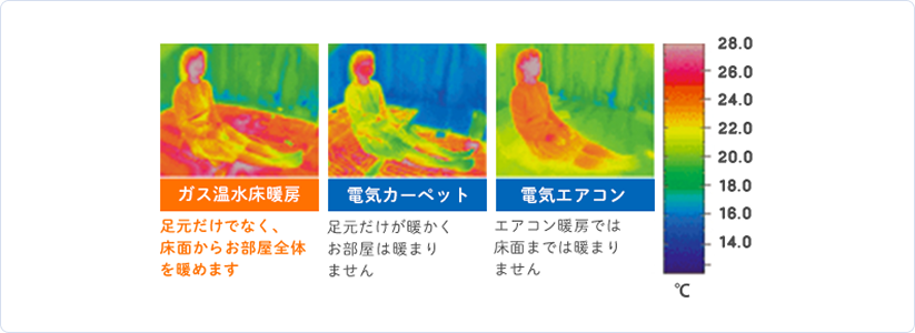 サーモグラフィーによる温度分布比較